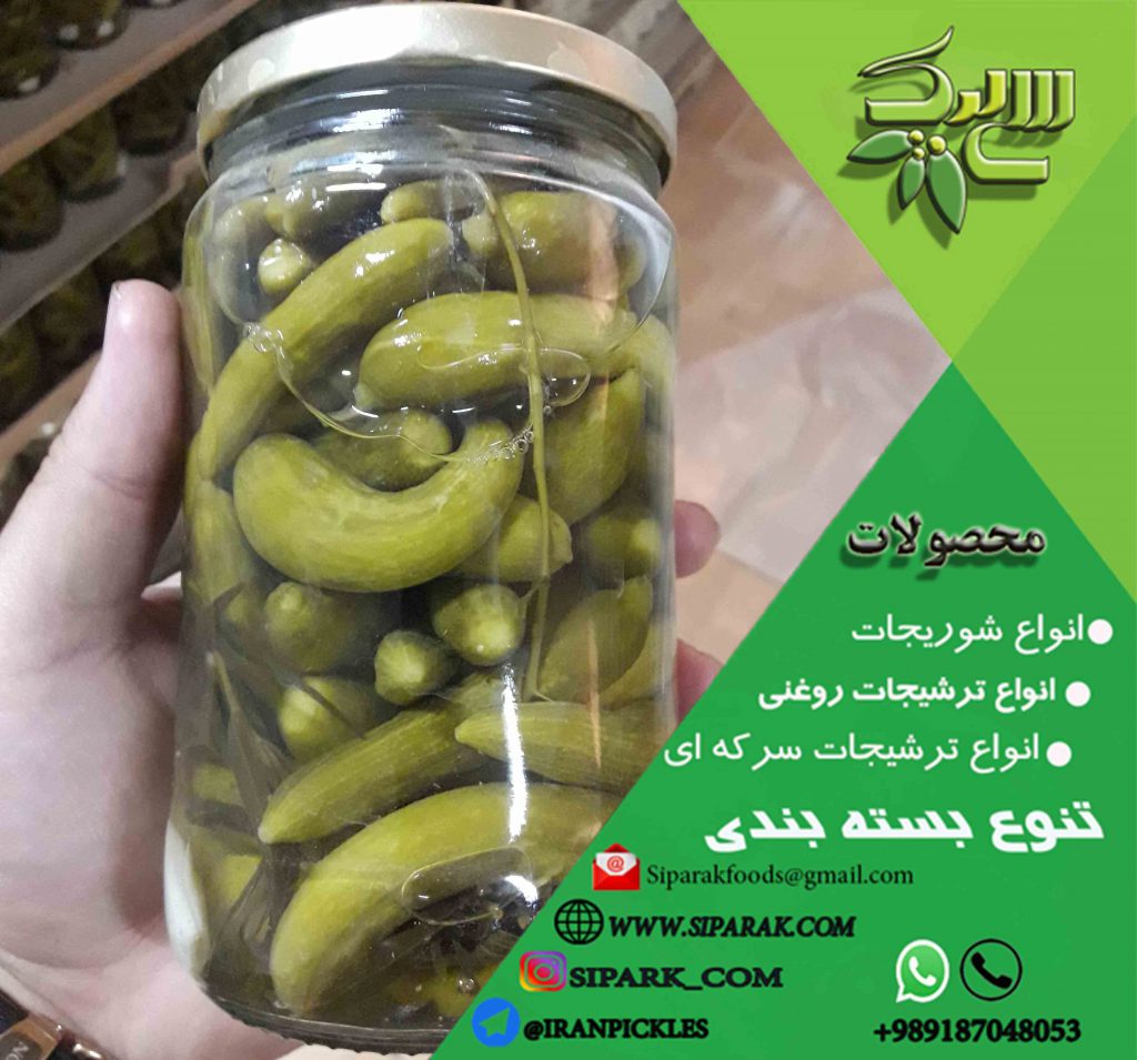 عرضه خیارشور با بهترین کیفیت