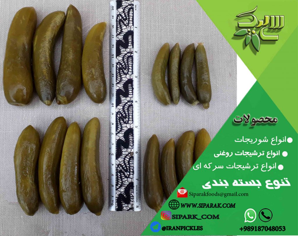 مهمترین عامل در تعیین قیمت خیارشور