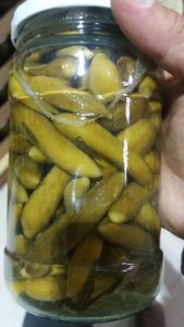 شرکت پخش خیارشور همدان