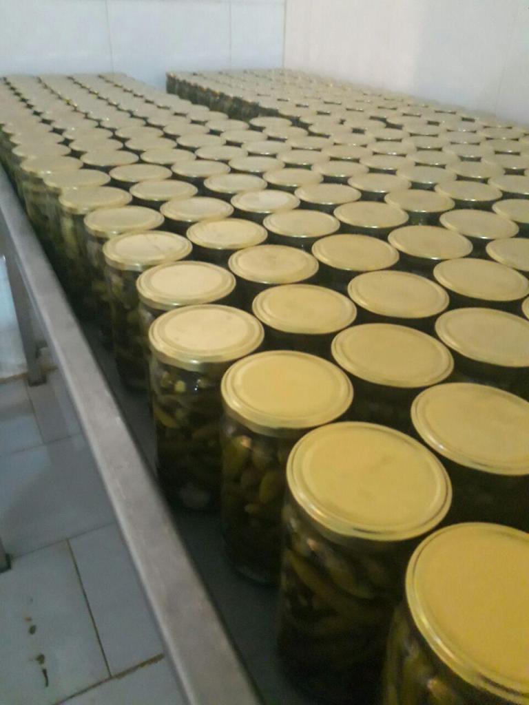 خیارشور غیر تخمیری ارزان فروش