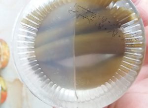 خیارشور در ظرف پلاستیکی تک نفره قزوین
