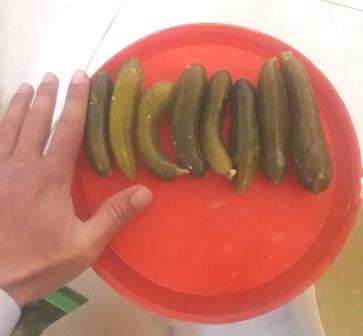 خیارشور ویژه قیمت