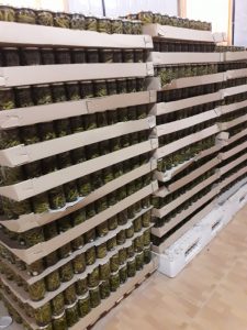 صادرات خیارشور به ارمنستان