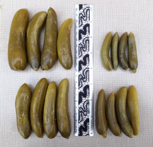 خرید خیارشور شیشه ای