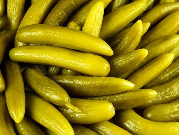 خرید خیارشور به صورت عمده