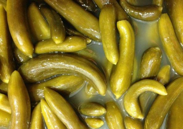 وارد کننده برتر در حوزه خیارشور