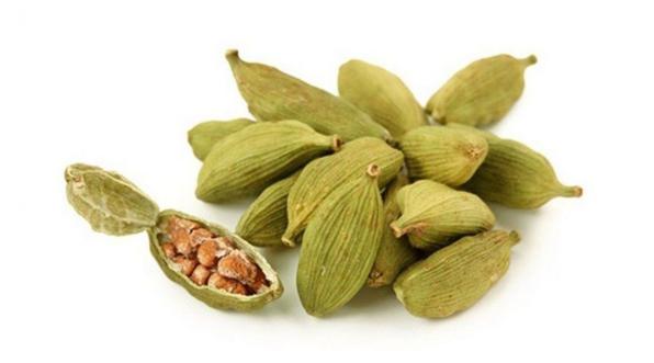 سفارش خرید هل سبز از فروشگاه های معتبر