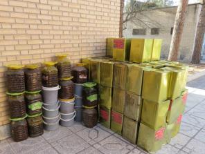 پخش مستقیم خیارشور ویژه سرکه ای