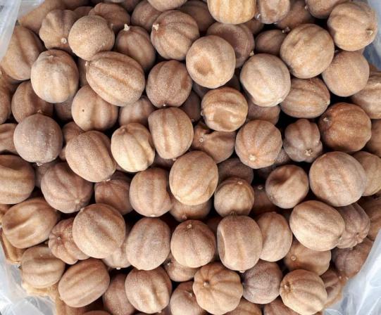 تولید لیمو عمانی با ارسال رایگان