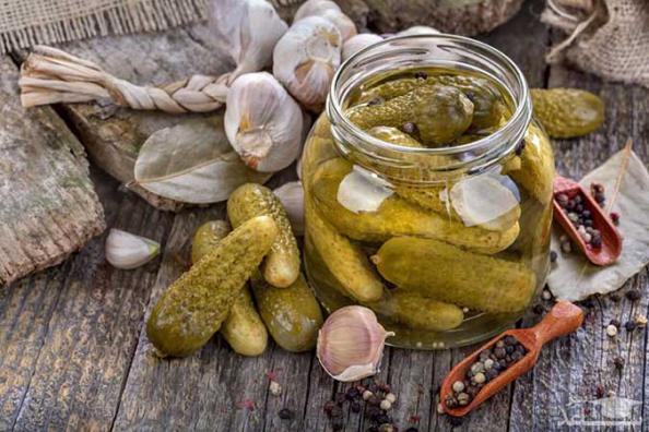 نمایندگی پخش و فروش خیارشور در پایتخت